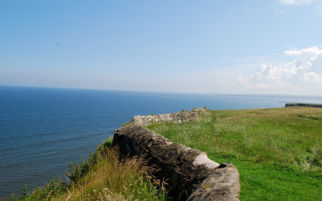 The Fence at the Top of the Cliff